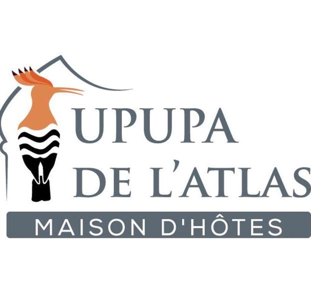 Hotel Upupa De L'atlas