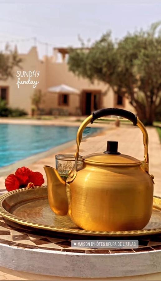 Upupa De L'atlas Hotel Ouled el guerne